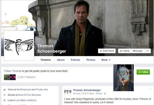 File:TSchoenberger FB Cicada.jpg