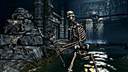 Skeleton (Skyrim)