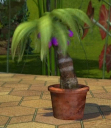 PurpleTeaTimeTree