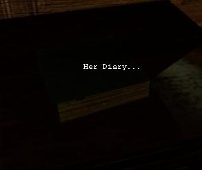 Diary