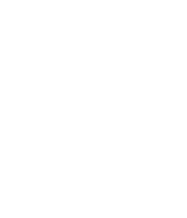 ファイル:Spr snowdrake 1.png