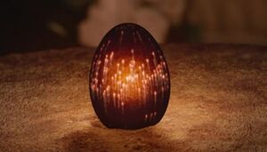 The egg