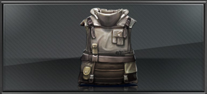 Item bullet proof vest
