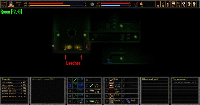 File:The Vengeance Leeches Room --2, -5-.jpg