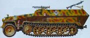 Sdkfz2511c110.jpg
