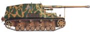 Nashorn..jpg