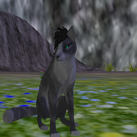 File:Wolf - Species.png