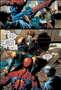 Peter Parker 2425.jpg