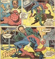 Peter Parker 3112.jpg