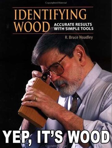File:Identifying-wood-stupid-book.jpg