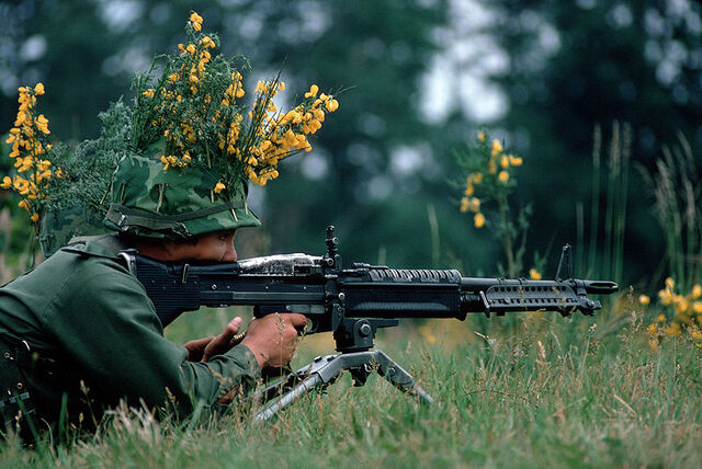 File:M60.jpg