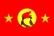 DRZ Flag 2