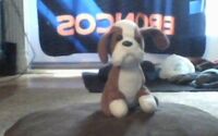 Picture006