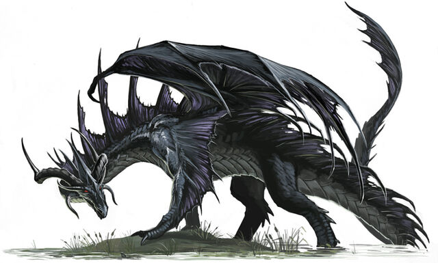 File:Blackdragon.jpg