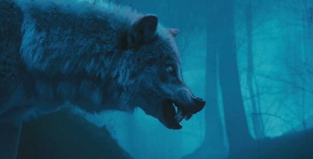 File:SeasonOfTheWitchwolves.jpg