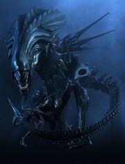 Xeno2