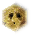 Thumbnail for version as of 16:46, February 23, 2012
