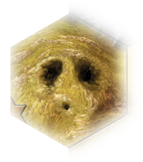 File:SpawningGround.png