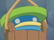 Lotad