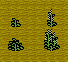 Clayweedpatch