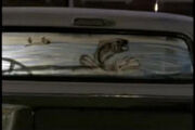 Angela hammond4 window decal