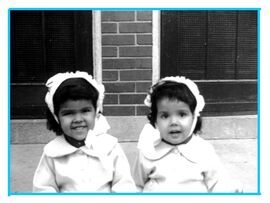 Debra and diana lemmer