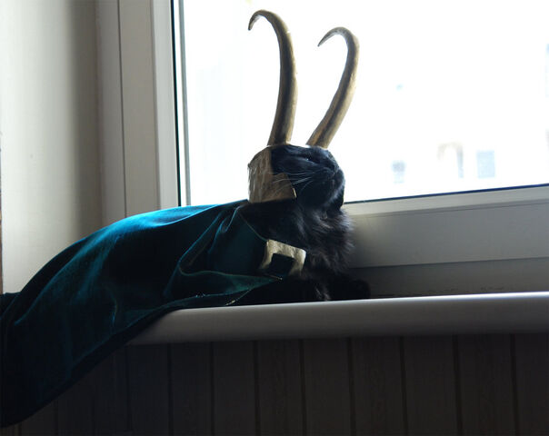 File:Loki Earth Seven.jpg