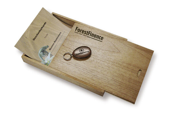 Datei:Geschenkbox neu+Logo.jpg