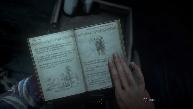 File:NativeBookPage.png