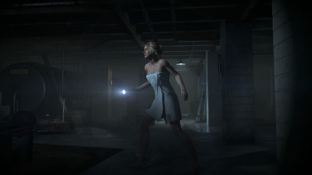 File:Sam Basement.jpg