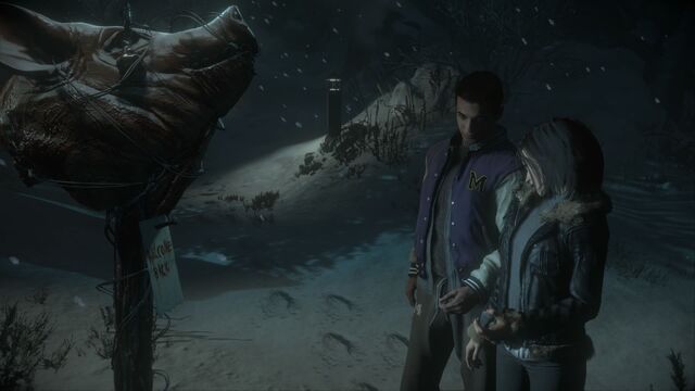 File:798014-until-dawn-playstation-4-screenshot-emily-matt-dlc-chapter.jpg