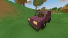 Pinkes Auto.jpg
