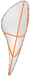 Imageedit 1 6505786918