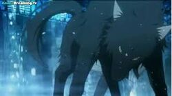 Images (9)