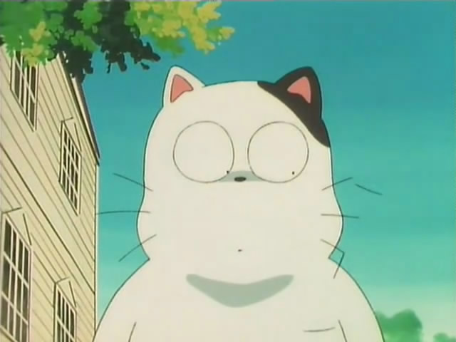 File:被炉猫.png