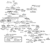 Targtree2.png