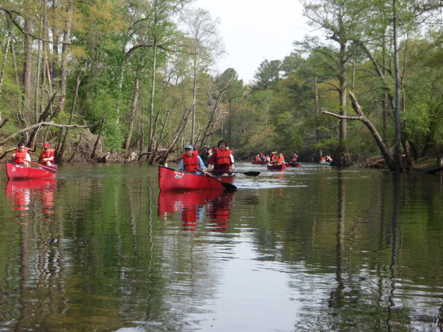 File:BlackwaterRiverCanoe5.jpg