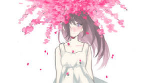 Bo.png