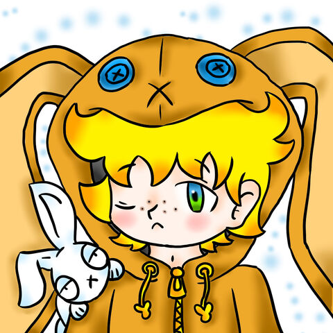 File:BunnyhoodieAki.jpg