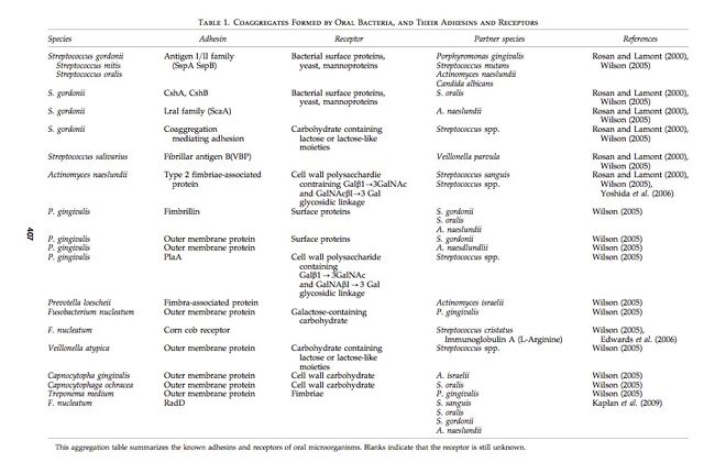 File:Nature table copy.jpg