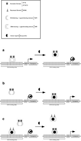 File:Versions.jpg