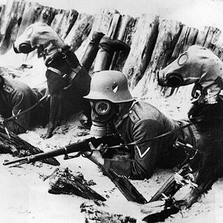 Gas Mask