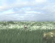 Kythena Plains