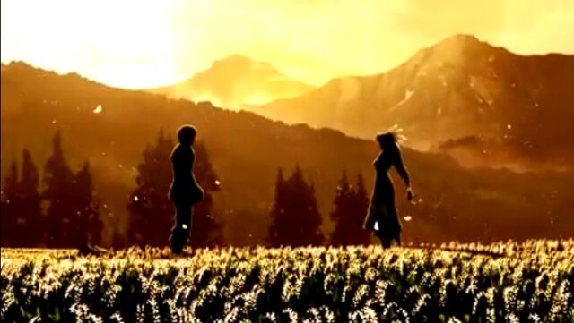 Fichier:Weeping Lily Meadow.jpg