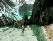 Seashore.jpg