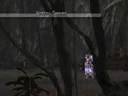 Nethov Swamp.jpg