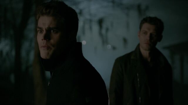 File:714-109-Stefan-Klaus.jpg
