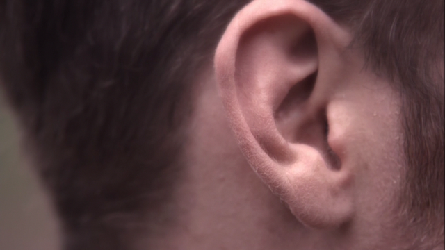 File:HearingKlaus.png