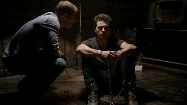 File:6X04-113-EnzoTripp.jpg