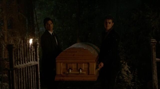 File:7X09-6-StefanDamon.jpg